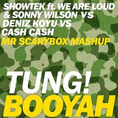 Tung! Booya (Mr Scarybox Mashup) - Showtek ft. We Are Loud & Sonny Wilson VS Deniz Koyu VS Cash Cash