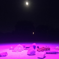 Californication Feat. Q - Hype