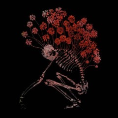 Metal/Rock