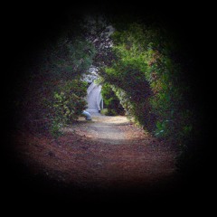 Love Come Down (SBST. Edit)