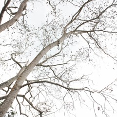 Liar (Prod: Yung Boost)