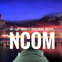 Ncom - Summer Loving ( No Copyright Original Music )