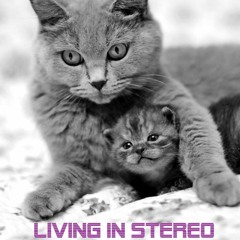 Living in Stereo