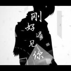 剛好遇見你 v.s 該走的路 【全中文】JiaXin Remix