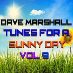 Dave Marshall - Eclectic Mix Vol 9 - Tunes For A Sunny Day!