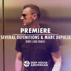 Premiere: Several Definitions & Marc DePulse - Birds (JOBE Remix)