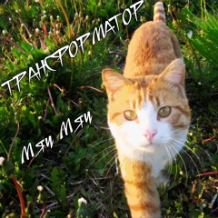 Трансформатор - Мяу Мяу