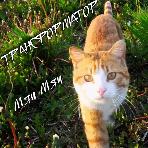 Трансформатор - Мяу Мяу