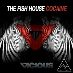 Cocaine (New Northern Remix Edit)