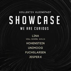 Hohenstein at Kollektiv Kleinstadt Showcase - We Are Curious / Stilbrvch Göttingen / 10.03.17