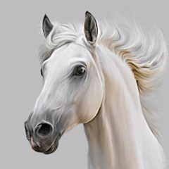 Diriliş Ertuğrul Jenerik Müziği