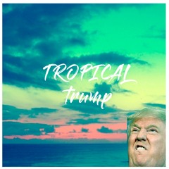 Tropical Trump (Original Mix) - Eddo
