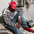 Troy&#x20;Ave Why Artwork