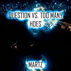 QUESTION VS. TOO MANY HOES [DUB]