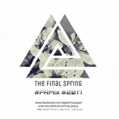 The Final Spring - Raj Janjua