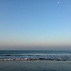 স্বপন-পারের ডাক শুনেছি