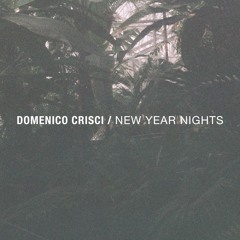 Domenico Crisci at Reaktor New Year Nights