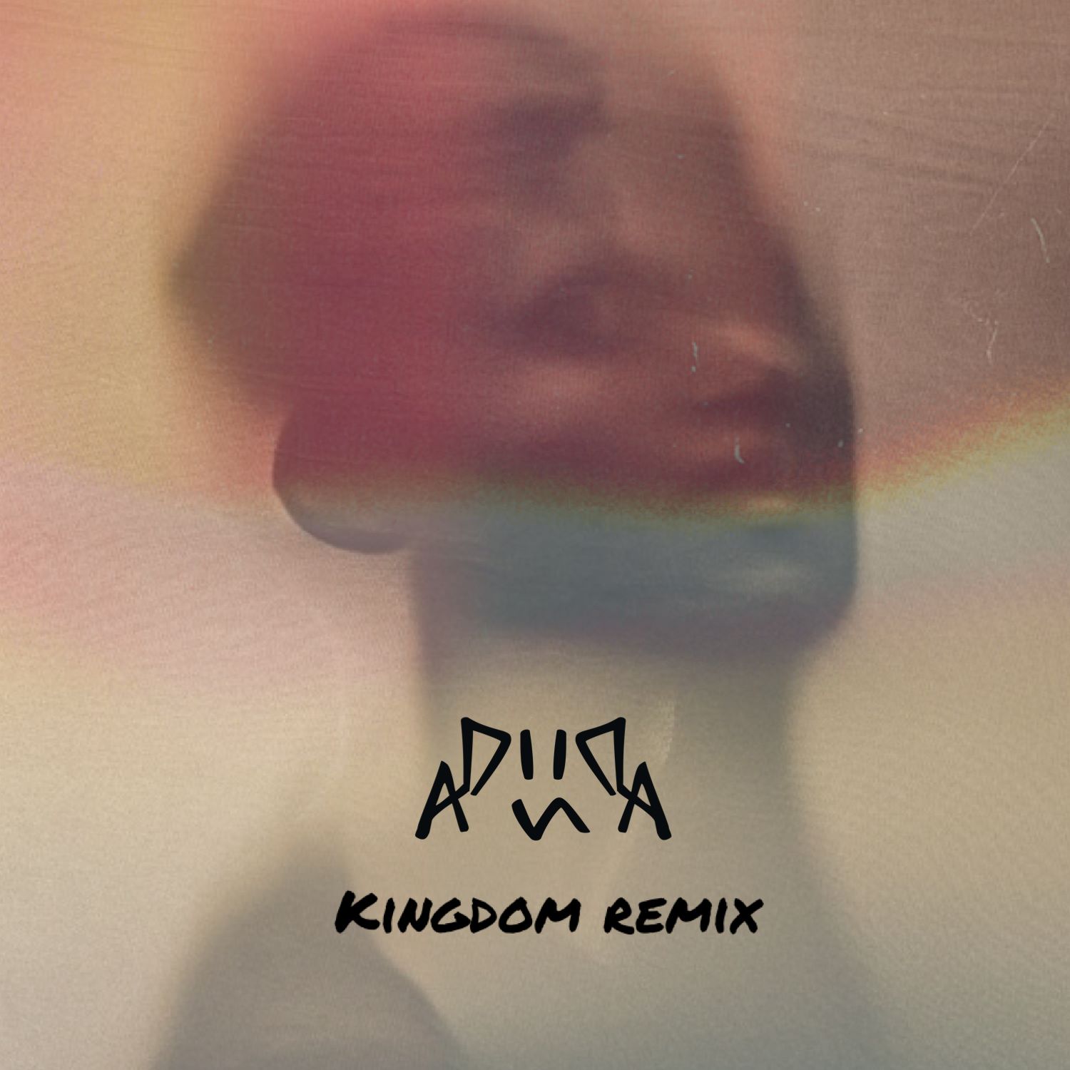 Kingdom Remix