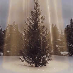 HEWRA - 🎄🎄🎄 CHOINKA 🎄🎄🎄