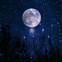 كن راضياً - معن برغوث.mp3