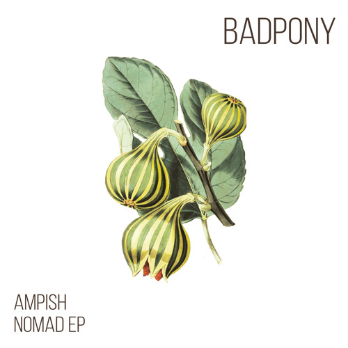 PREMIERE: Ampish - The Nomad (Original Mix) [Bad Pony Records]