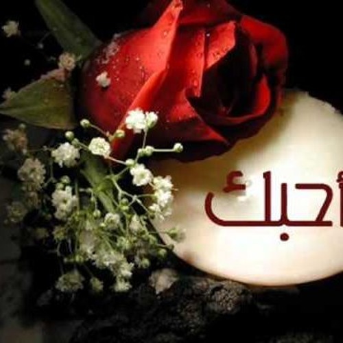 علي