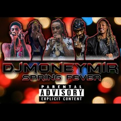|Dj Money Mir|Spring Fever|