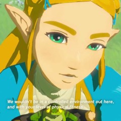 *LEEK* LINK & ZELDA SEX SCENE AUDIO WAV 48KBPS *EXCLOOSIVE*