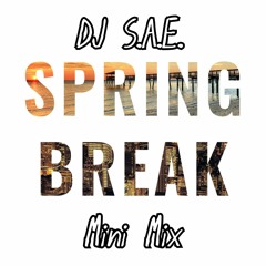 SAE Spring Break Mini Mix