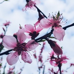 Wish Your Love Away- Brandy (Alix Lapri Cover)