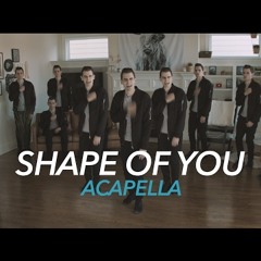 Ed Sheeran - Shape of You  [Acapella]