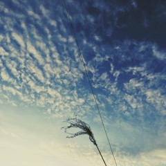 CO - BREATHER _ CENTAURIAN SHADOW BOXER