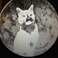 SEMUTA _ CLOUD FORMATION