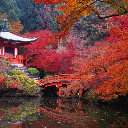 An Indescribably Beautiful Sense of Freedom