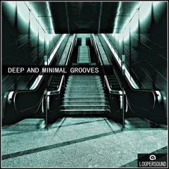 Deep and Minimal Grooves - Demo (Sample Pack Preview)