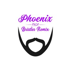 Phoenix - 1901 (bristles remix)