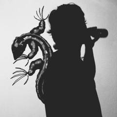 Paseo A La Hamaca (Version2)