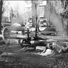 Они лежат на земле...