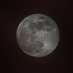 MoonJazz Instrumental