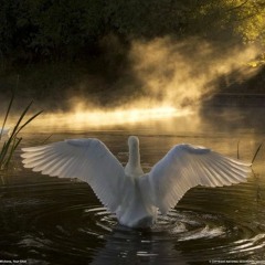 "Подруга" кавер "Girlfriend"