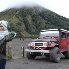 Virgeon - Surat cinta untuk Starla ( cover by rapida )