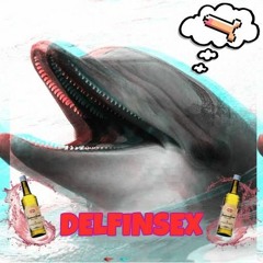 Delfinsex