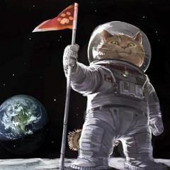Gomantong _ Cat astronaut -216bpm(demo)