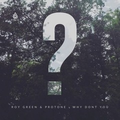 SPEAR077 - RoyGreen & Protone  & Monologue- Why Don't You (Spearhead Records)