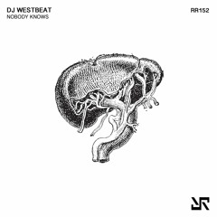 DJ WestBeat - Nobody Knows (Original Mix) 160Kbps