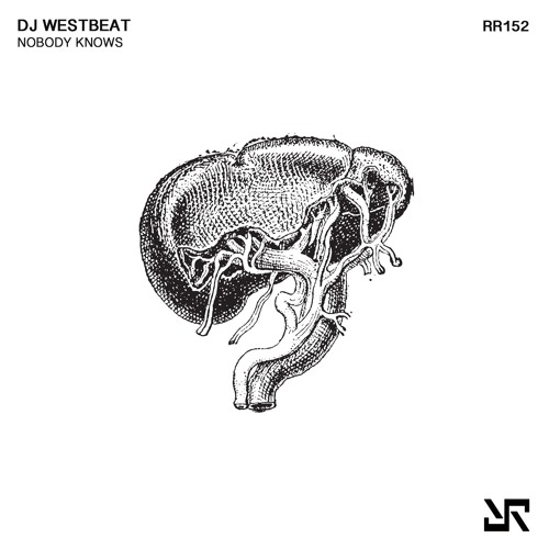 DJ WestBeat - Nobody Knows (Original Mix) 160Kbps