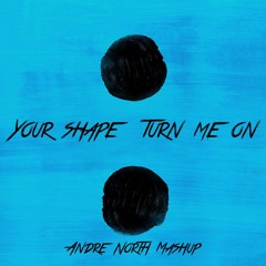 Ed Sheeran X Kevin Lyttle - Your Shape Turn Me On [Andre North Mashup]