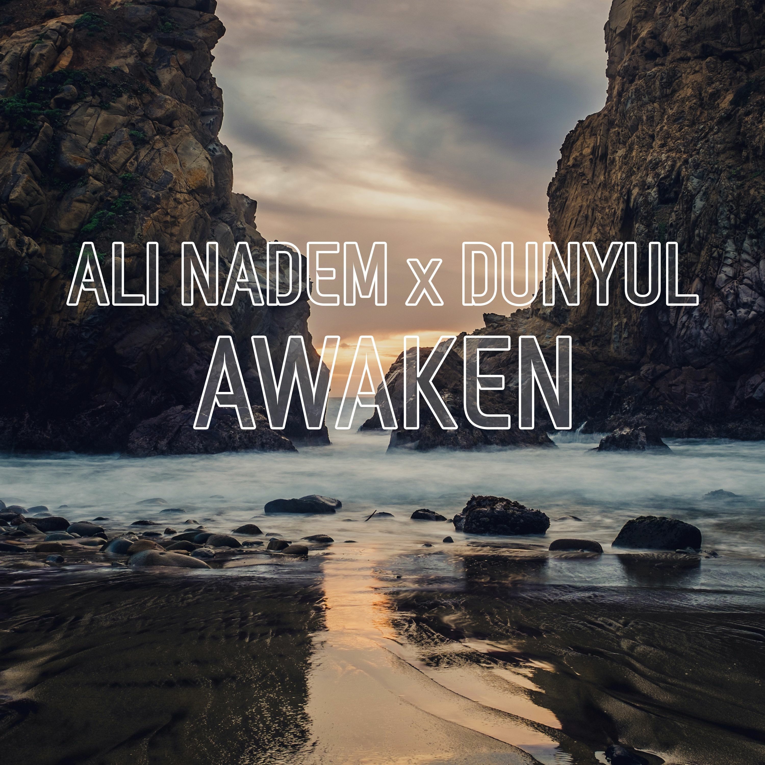 Ali Nadem