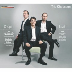 Liszt - Tristia - Mirare, 2010