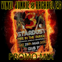 Vinyl Junkie B2B Rachael E.C ~ Stardust ~ Fire in the Jungle ~ Promo Mix